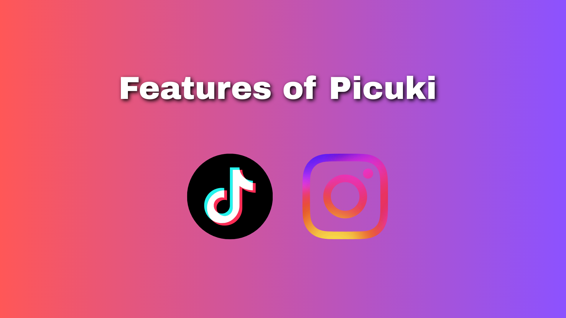 Features of Picuki 