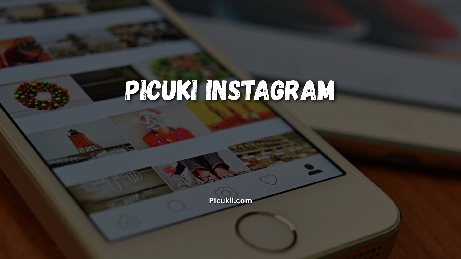 Picuki Instagram