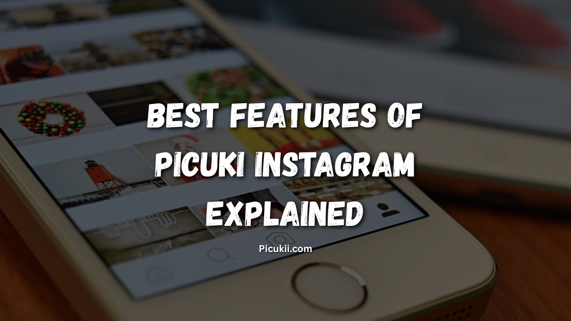 Picuki Instagram