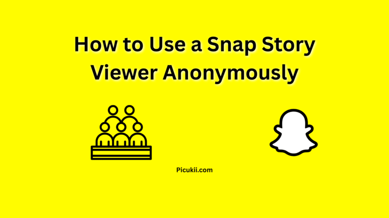 snap story viewer