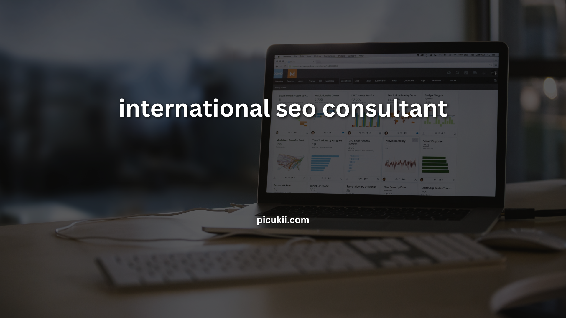 international seo consultant