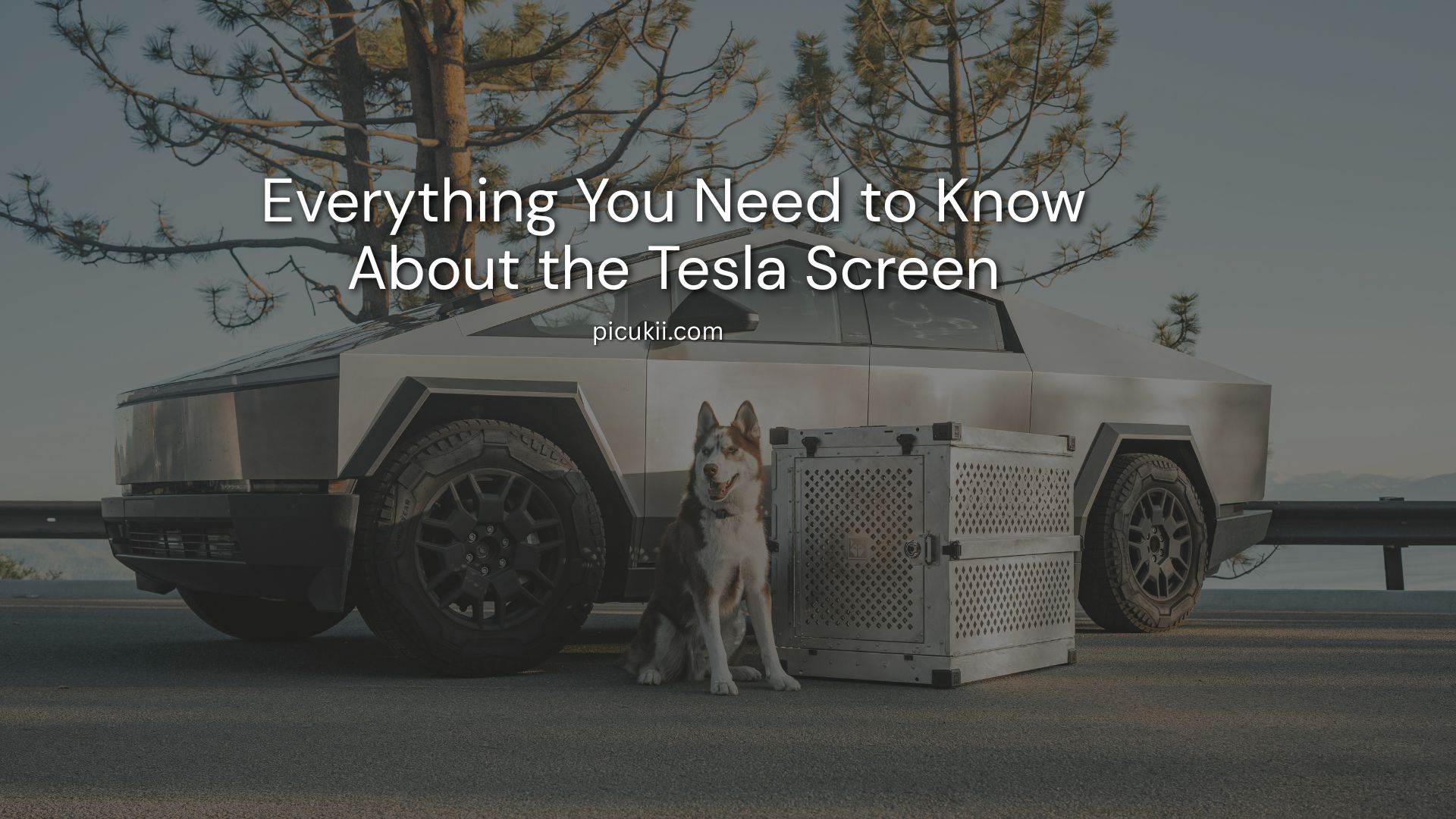 Tesla Screen