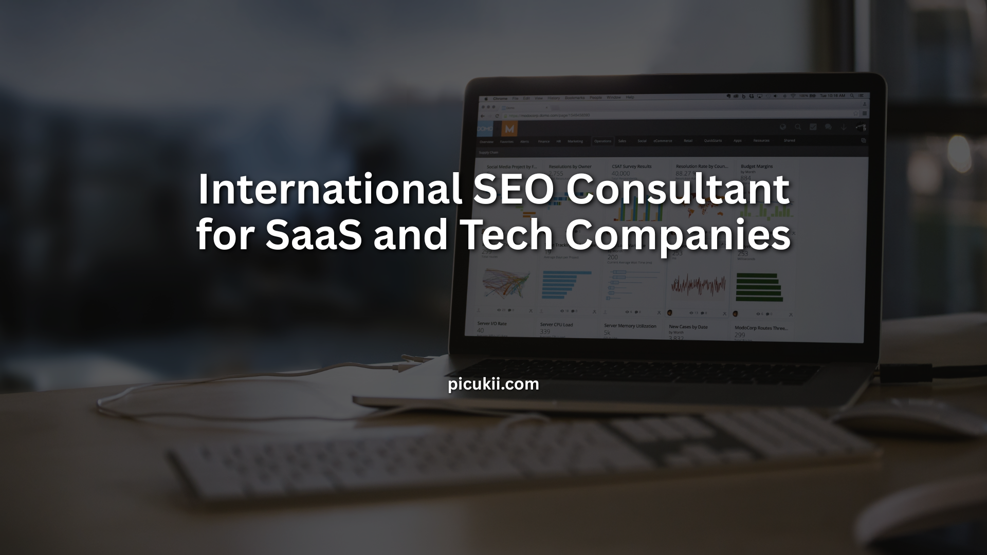 international seo consultant