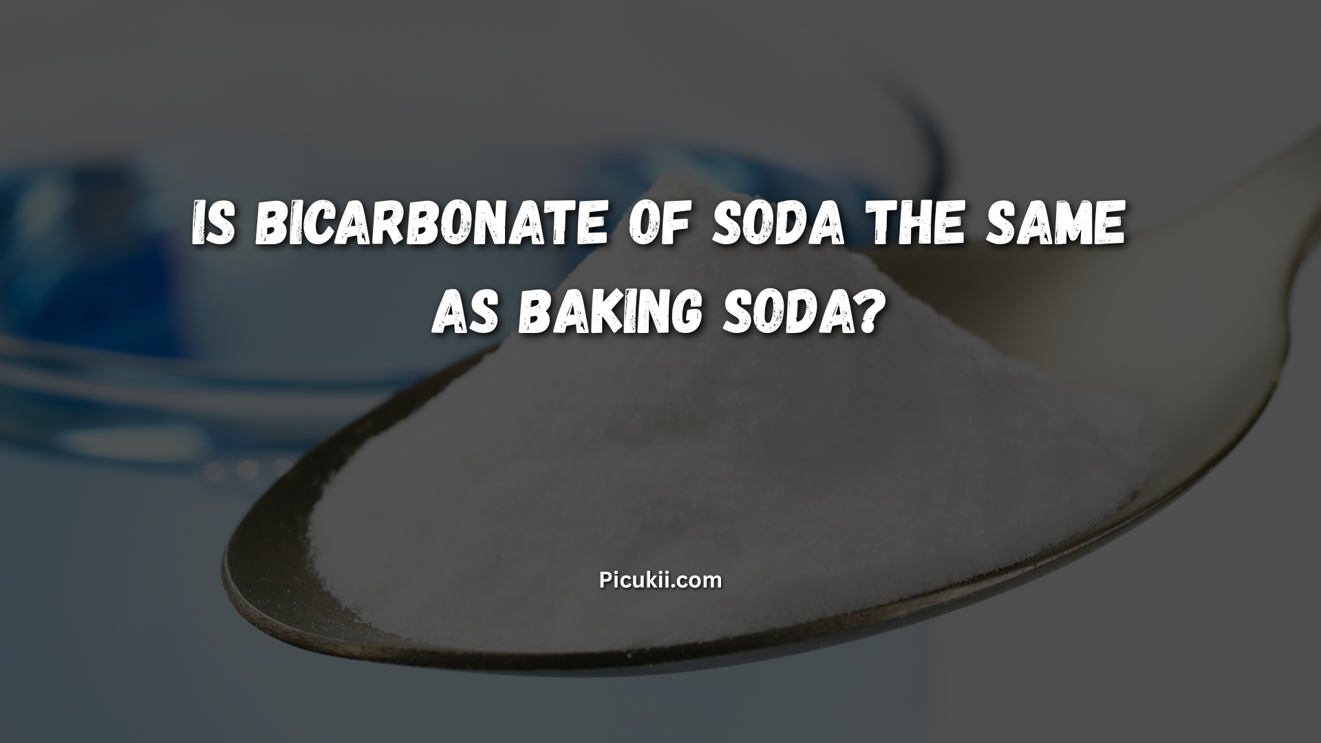 is bicarbonate of soda the same as baking soda
