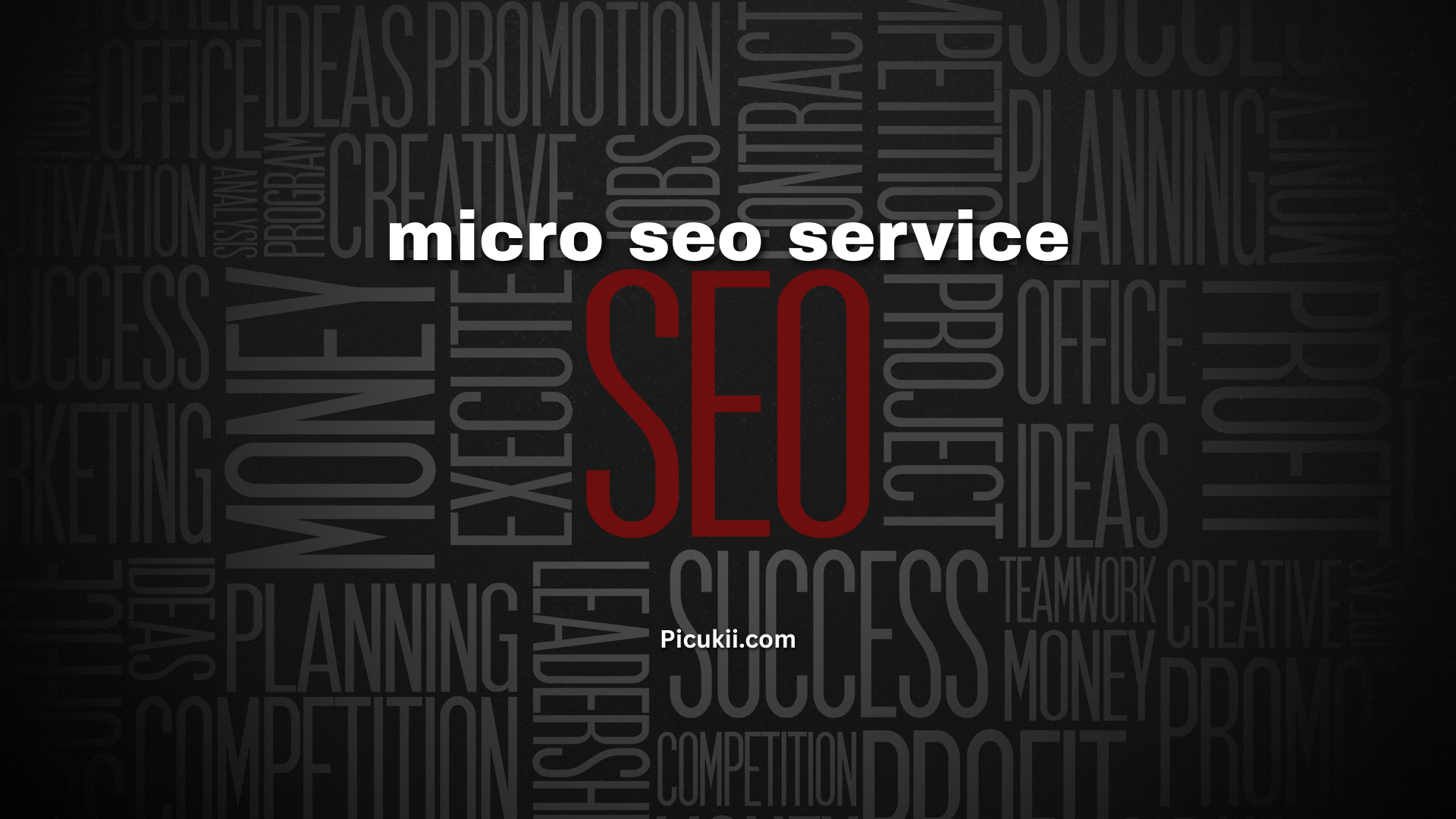 micro seo service
